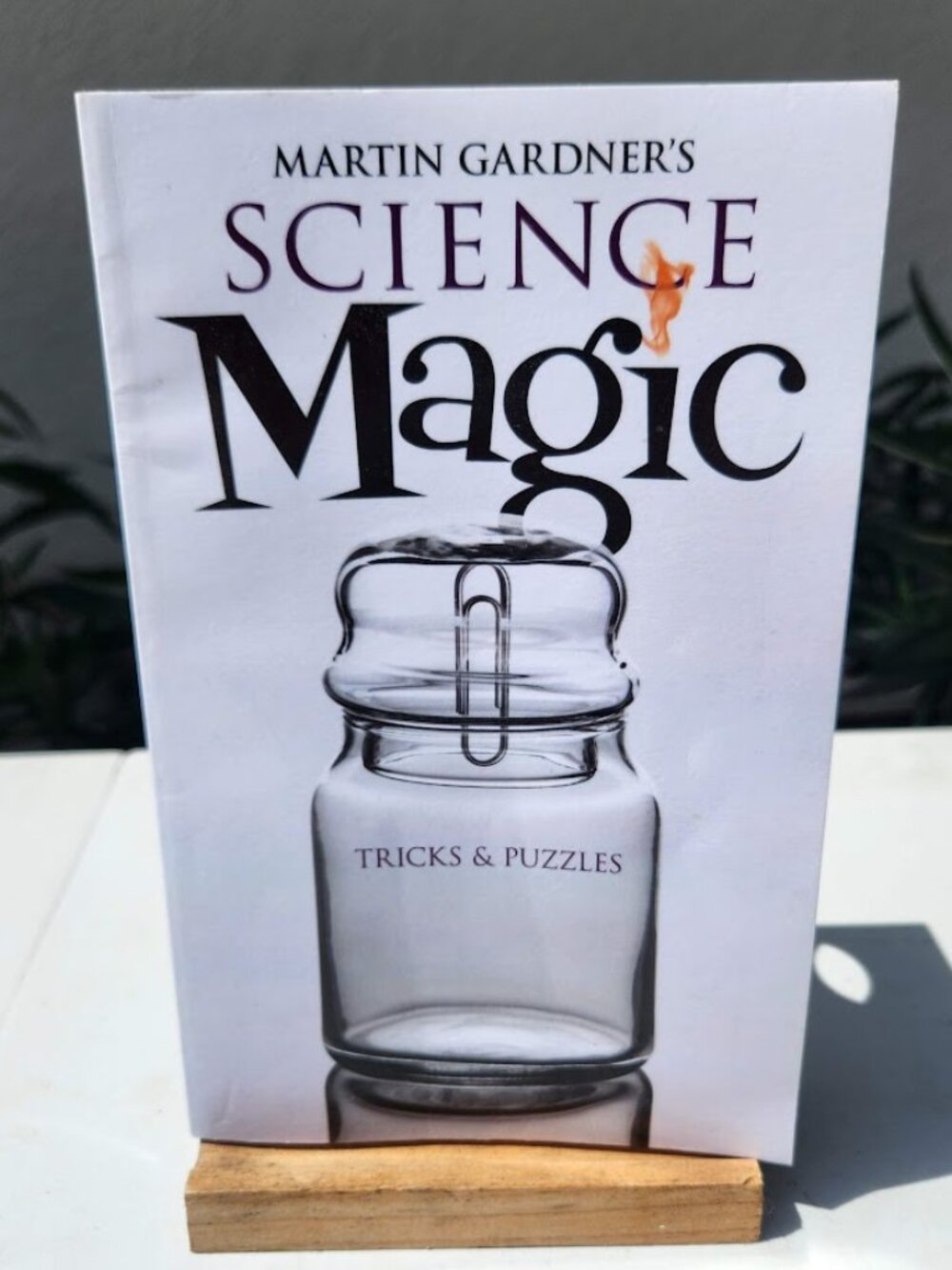 Martin Gardner's Science Magic Tricks and Puzzles Book Paperback (Dover Magic Bo